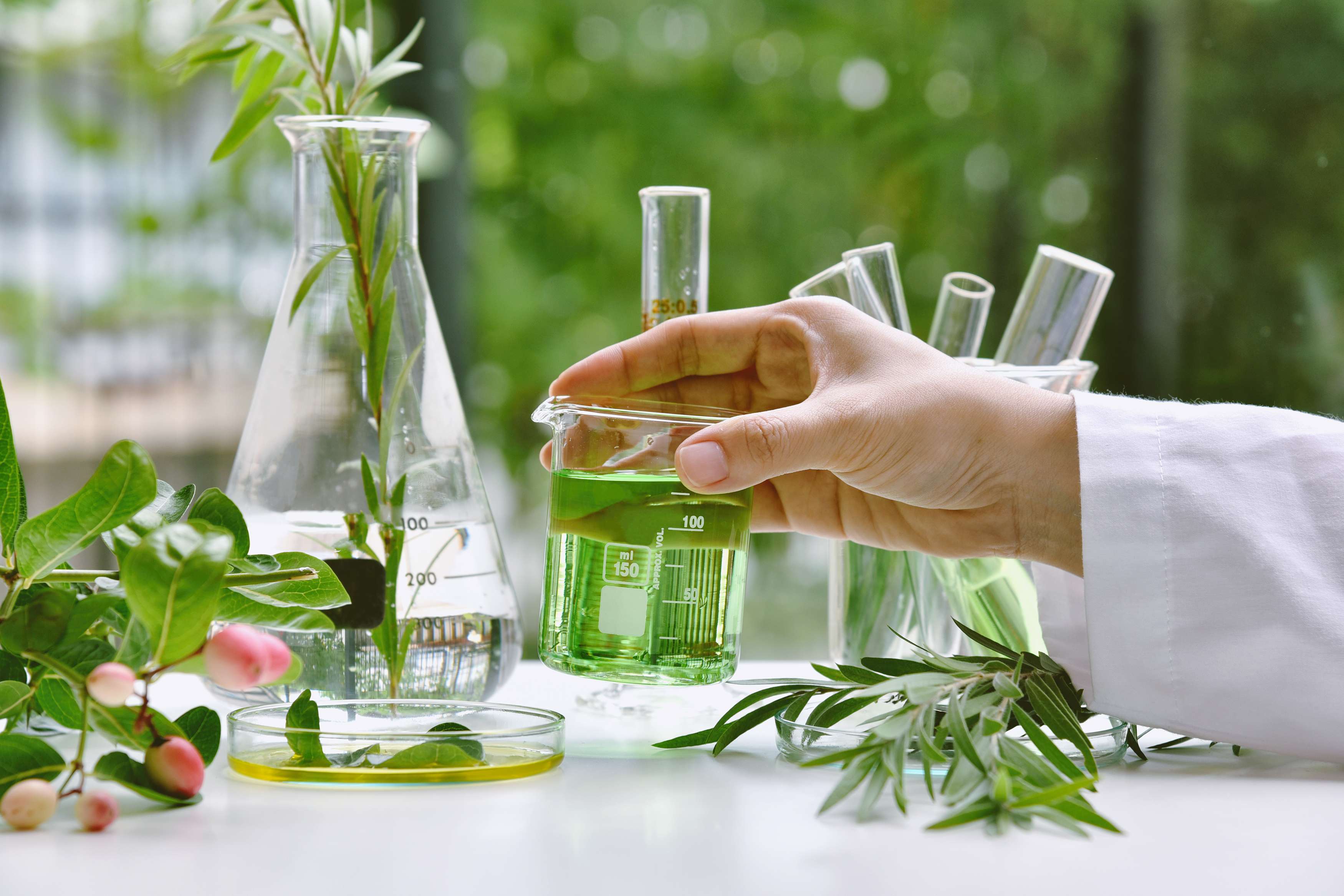 Scientist researching natural drug compounds in laboratory